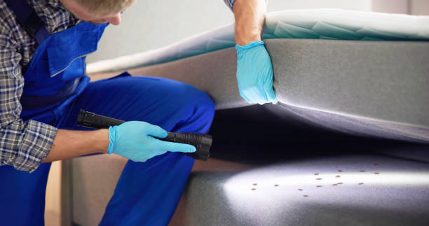 Pest Control Cost in New Martinsville, WV